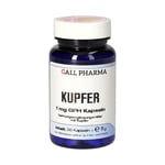 Kupfer 1 mg GPH Kapseln Produktbild 1