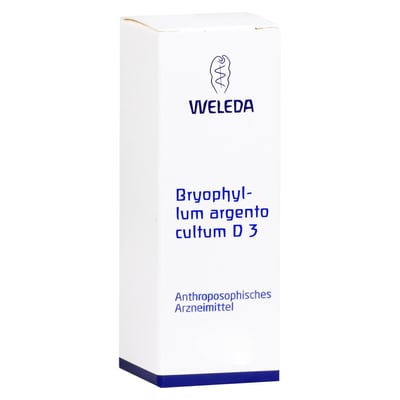Bryophyllum Arg Cul D 3