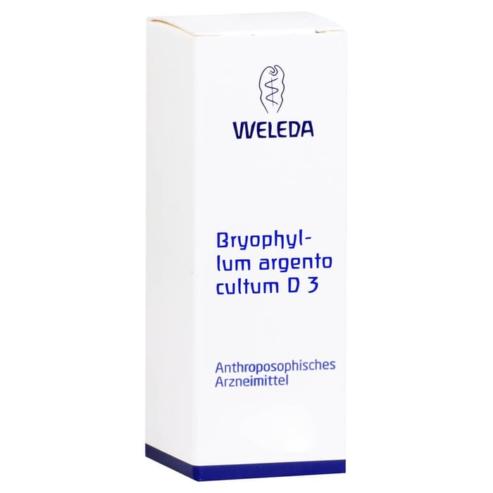 Bryophyllum Arg Cul D 3