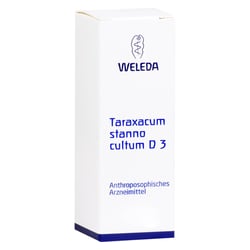 Taraxacum Stanno cultum D 3