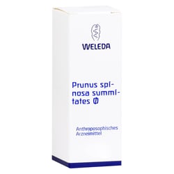 Prunus spinosa, Summitates