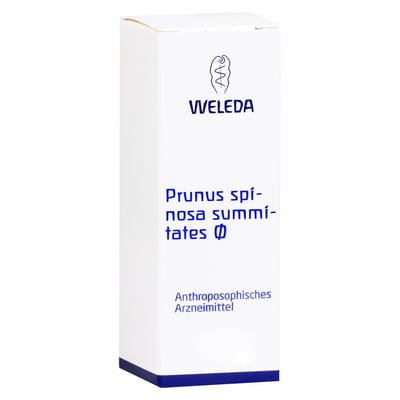 Prunus spinosa, Summitates