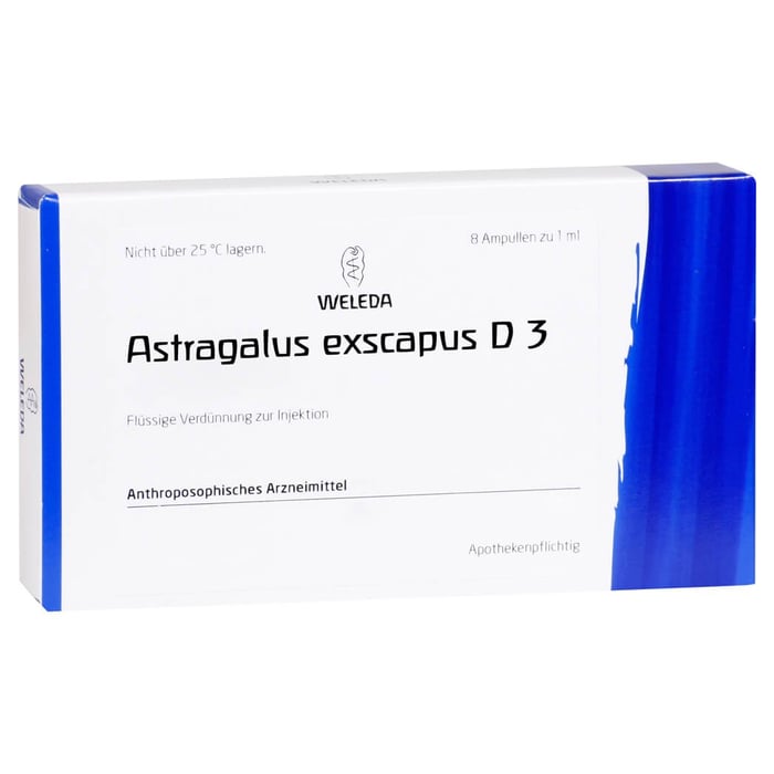 Astragalus Exscapus D 3