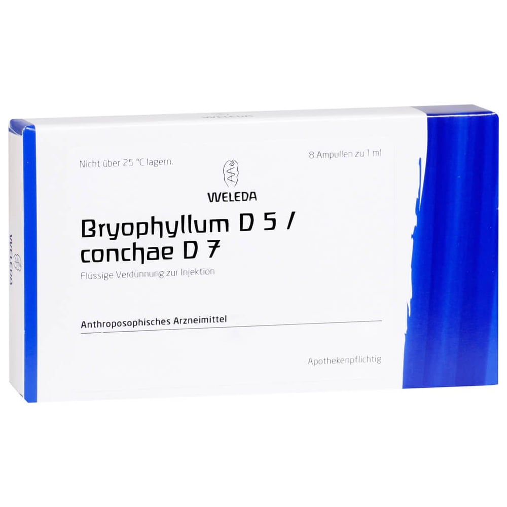 Bryophyllum D 5/Conchae D 7 Ampullen