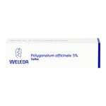 Polygonatum officinale 5% Salbe Produktbild 2