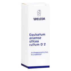 Equisetum Arvense Silicea cultum D 2