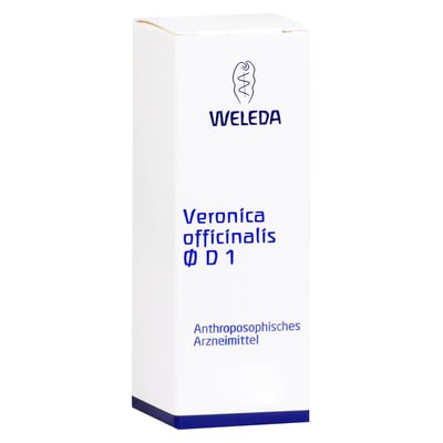 Veronica officinalis, ethanol. Decoctum