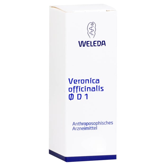 Veronica officinalis, ethanol. Decoctum