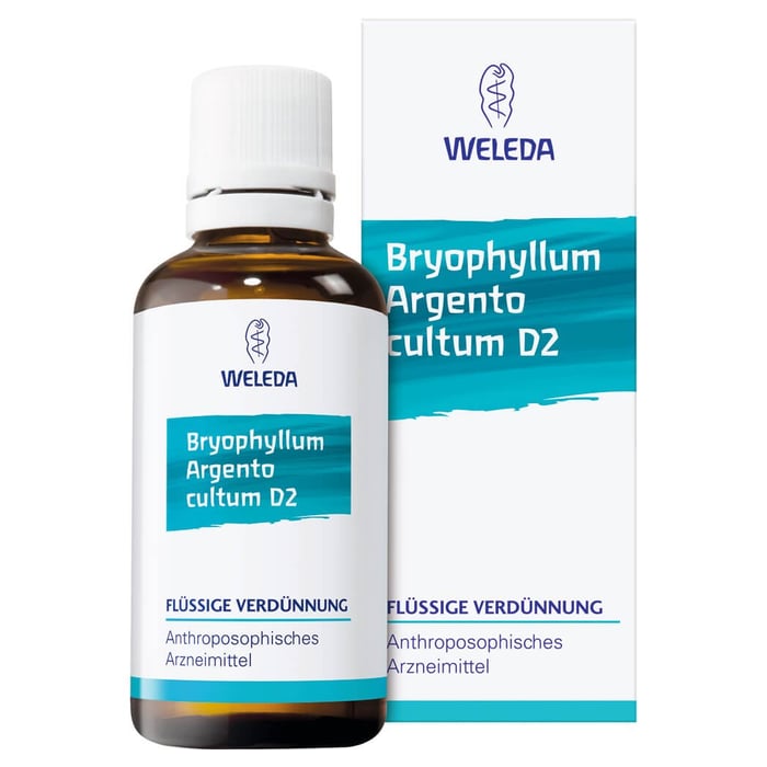 Bryophyllum Arg Cul Rh D 3