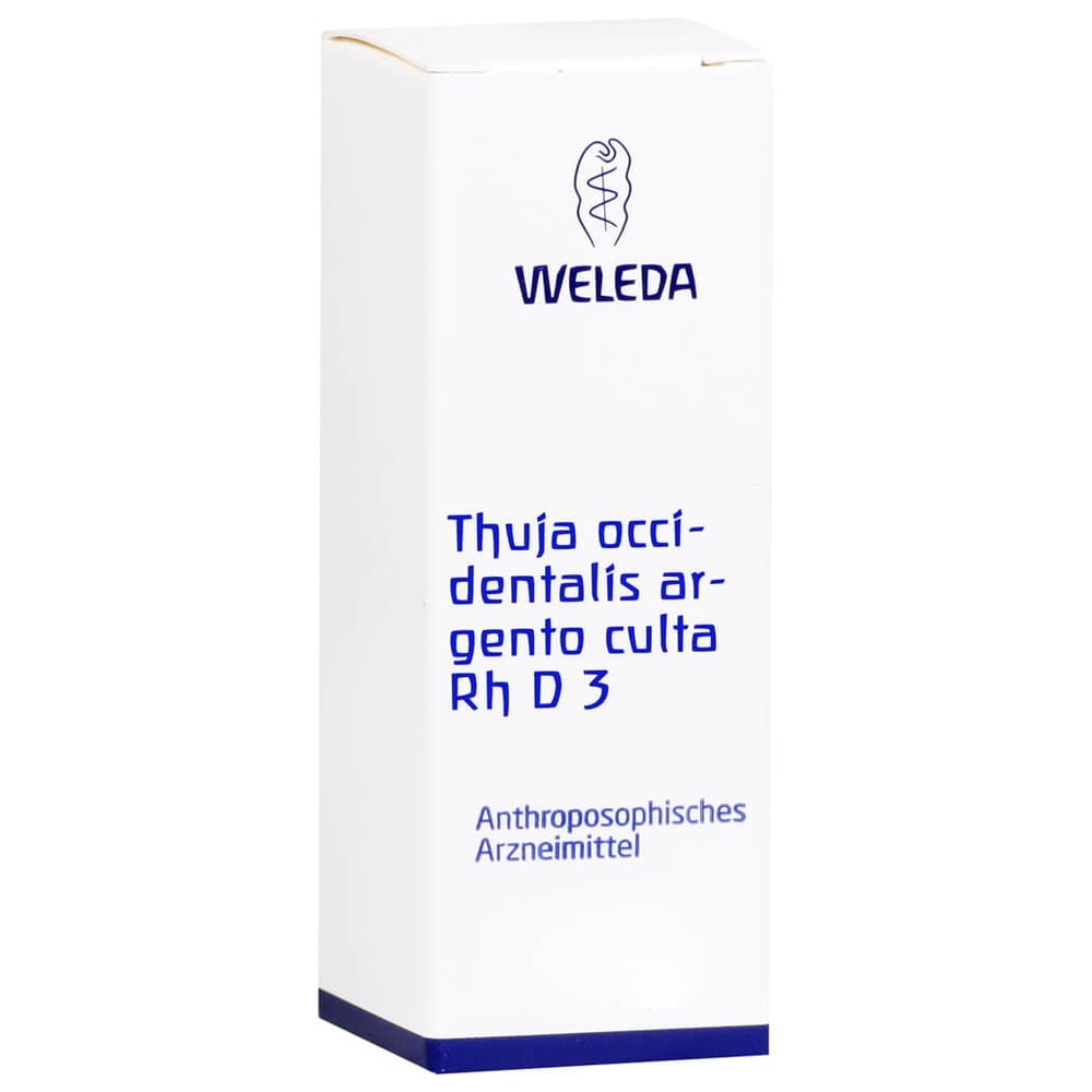 Thuja Occidentalis Argento culta Rh D 3