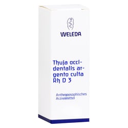 Thuja Occidentalis Argento culta Rh D 3