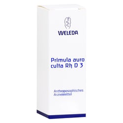 Primula Auro culta Rh D 3