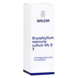 Bryophyllum Mercurio cultum Rh D 3