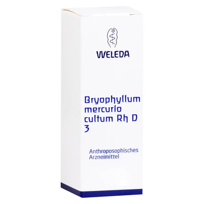 Bryophyllum Mercurio cultum Rh D 3