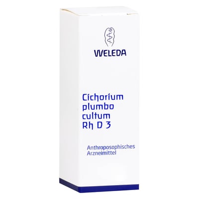 Cichorium Plumbo cultum Rh D3
