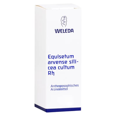 Equisetum Arvense Silicea cultum Rh D 3