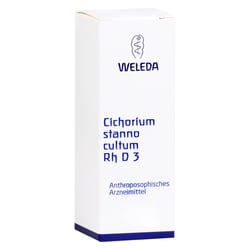 Cichorium St Cul Rh D 3