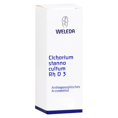 Cichorium St Cul Rh D 3