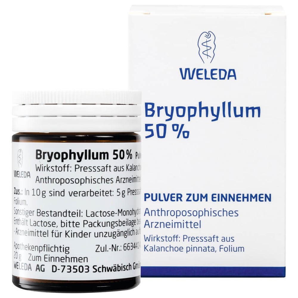 Bryophyllum 50% Pulver zum Einnehmen