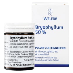 Bryophyllum 50% Pulver zum Einnehmen