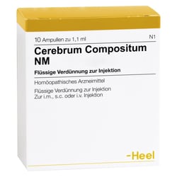 Cerebrum compositum NM