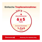 DYSMENORRHOE-Gastreu S R75 Mischung Produktbild 4
