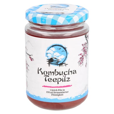Kombucha Teepilz