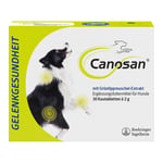 Canosan vet