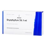 Bryophyllum 5 % (1 ml) Produktbild 3