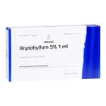 Bryophyllum 5 % (1 ml) Produktbild 1