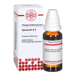 Apocynum D 4