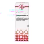 Rhus Toxicodendron D 6 