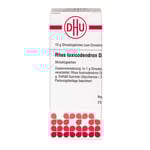 Rhus Toxicodendron D 3