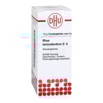 Rhus Toxicodendron D 6 DHU