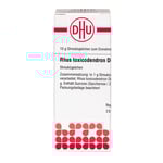Rhus Toxicodendron D 6 DHU