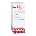 Thuja D 4