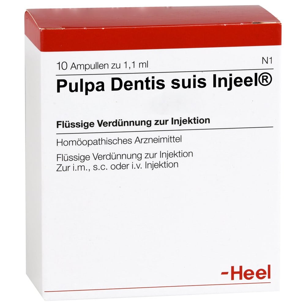 Pulpa dentis suis-Injeel