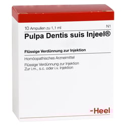 Pulpa dentis suis-Injeel