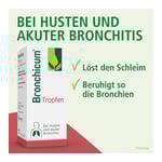 Bronchicum