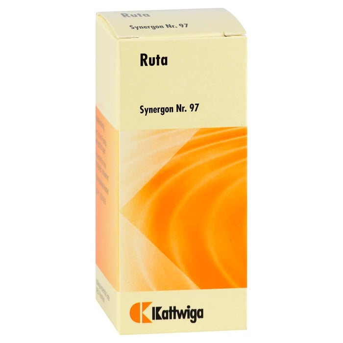 Synergon Kompl Ruta 97