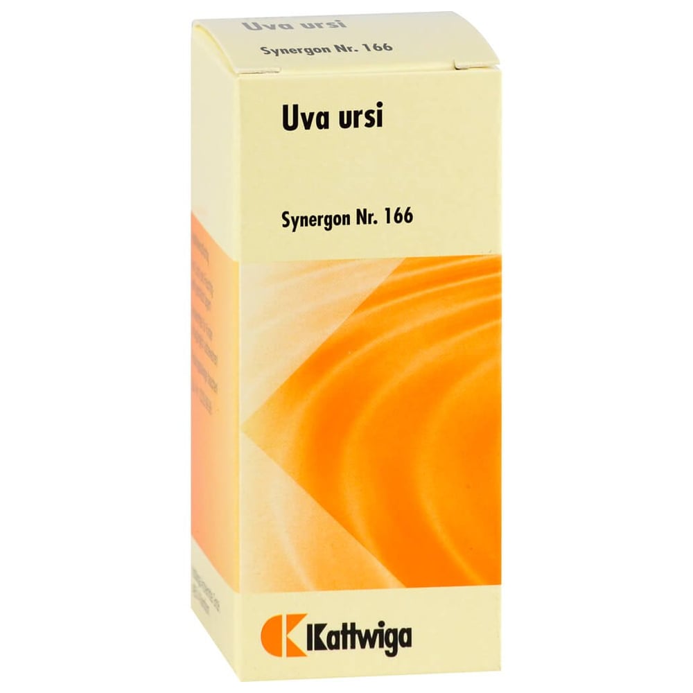 Synergon Komplex 166 Uva ursi Tropfen