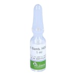 Disci Bamb HOM Injektion 1 ml Produktbild 4
