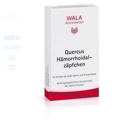 Quercus Haemorrhoidalzaepf