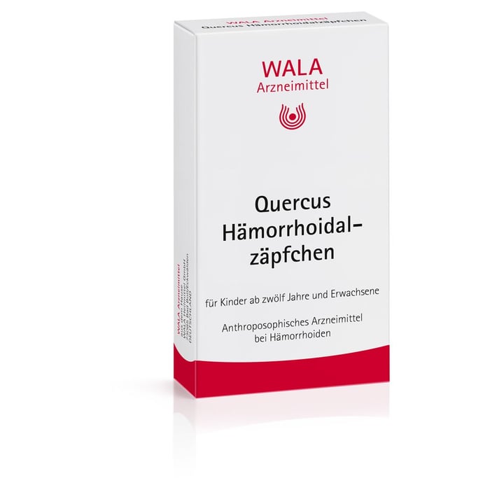 Quercus Haemorrhoidalzaepf