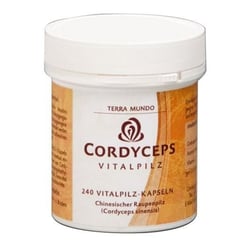 Cordyceps Vitalpilz (Terra Mundo)