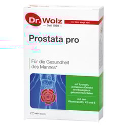 Prostata pro Dr. Wolz Kapseln
