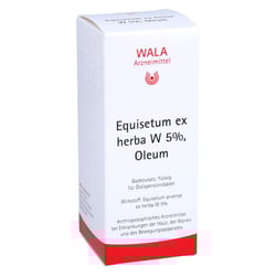 Equisetum Ex Herba W 5% Ol