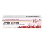 Arnica Salbe N