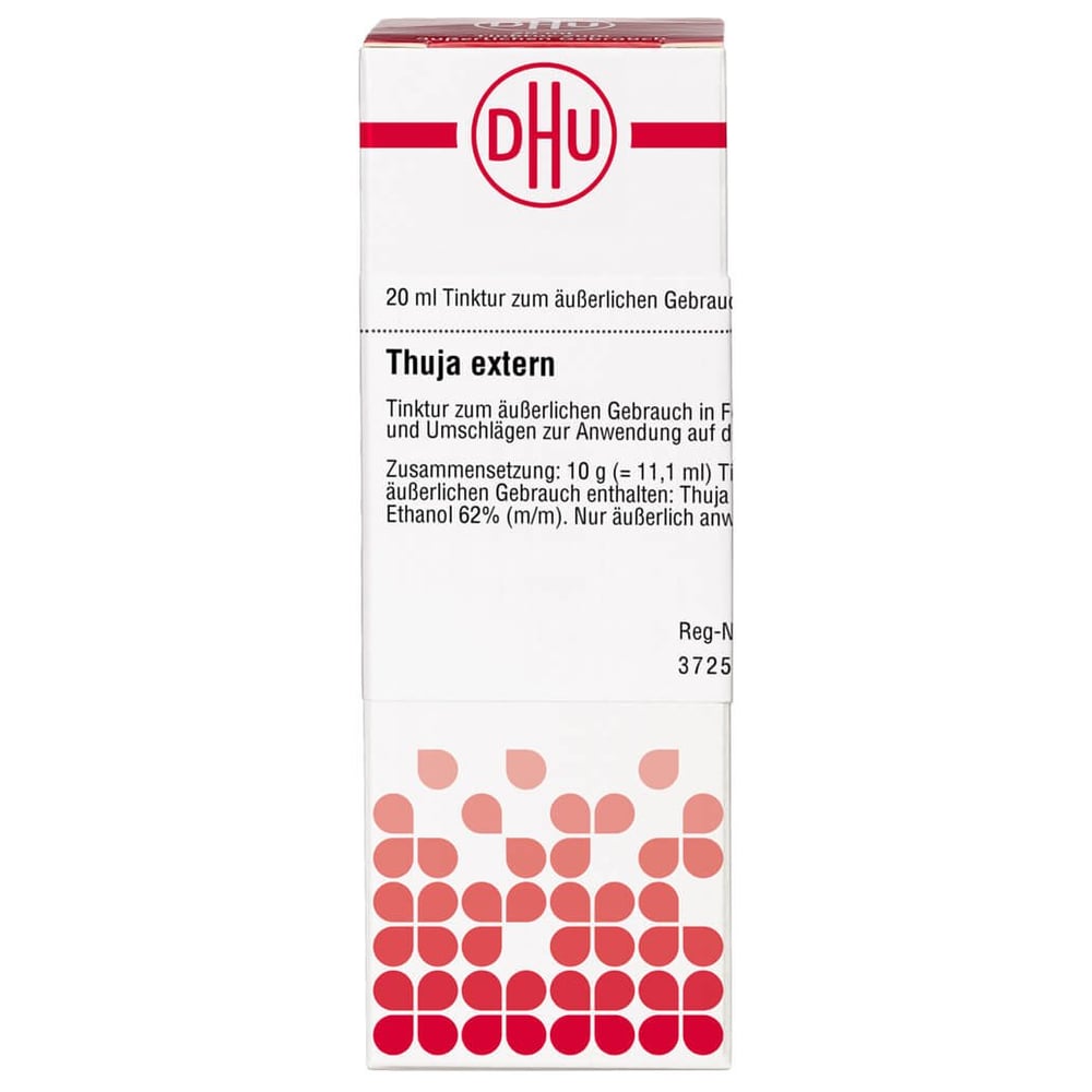 Thuja extern