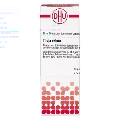 Thuja extern